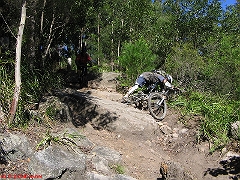 20070520-Bulli 076